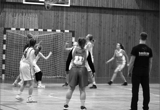 170223, SK Bruntál vs. Basket Ostrava
